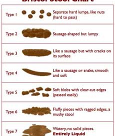 stoolchart