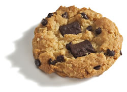 Dr Lucy’s chocolate chip cookie