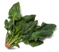 spinach - folic acid